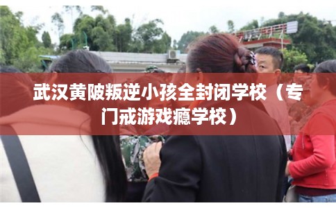 武汉黄陂叛逆小孩全封闭学校（专门戒游戏瘾学校）