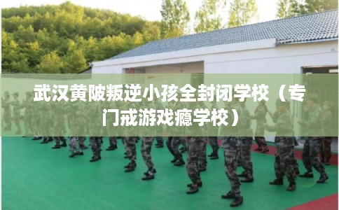 武汉黄陂叛逆小孩全封闭学校（专门戒游戏瘾学校）