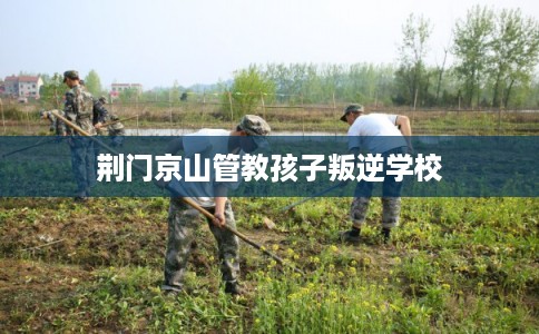 荆门京山管教孩子叛逆学校