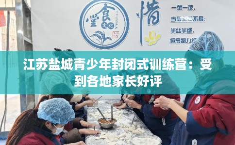 江苏盐城青少年封闭式训练营：受到各地家长好评