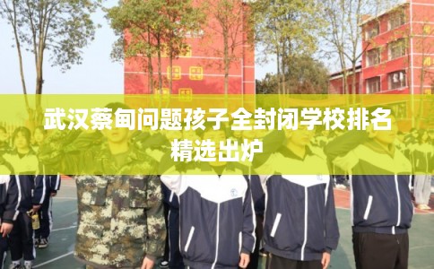 武汉蔡甸问题孩子全封闭学校排名精选出炉 武汉蔡甸问题孩子全封闭学校排名精选出炉