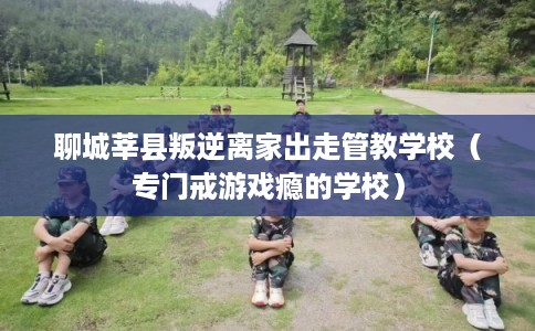 聊城莘县叛逆离家出走管教学校（专门戒游戏瘾的学校）