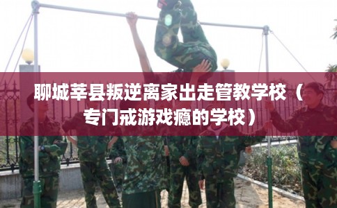 聊城莘县叛逆离家出走管教学校（专门戒游戏瘾的学校）