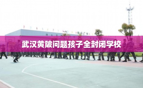 武汉黄陂问题孩子全封闭学校 武汉黄陂问题孩子全封闭学校