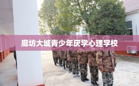 廊坊大城青少年厌学心理学校 廊坊大城青少年厌学心理学校