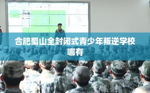 合肥蜀山全封闭式青少年叛逆学校哪有