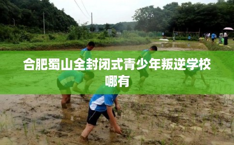 合肥蜀山全封闭式青少年叛逆学校哪有