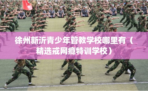 徐州新沂青少年管教学校哪里有（精选戒网瘾特训学校）