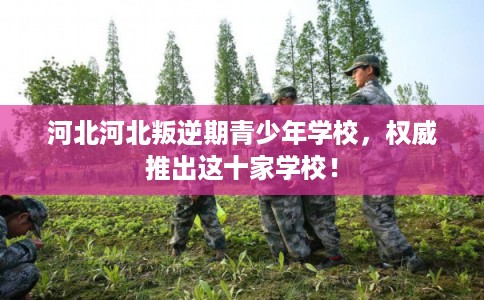 河北河北叛逆期青少年学校，权威推出这十家学校！