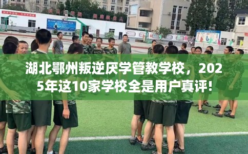 湖北鄂州叛逆厌学管教学校，2025年这10家学校全是用户真评!