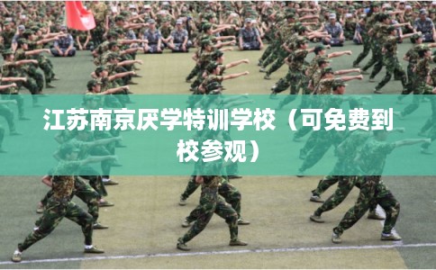 江苏南京厌学特训学校（可免费到校参观）