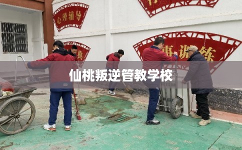 仙桃叛逆管教学校