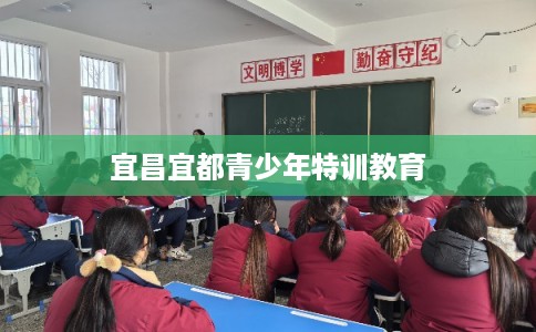 宜昌宜都青少年特训教育