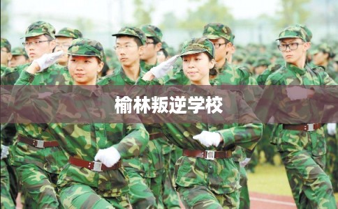 榆林叛逆学校 榆林叛逆学校