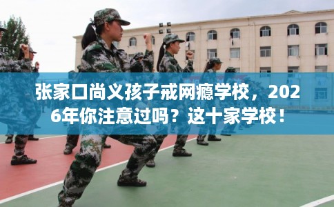 张家口尚义孩子戒网瘾学校，2026年你注意过吗？这十家学校！