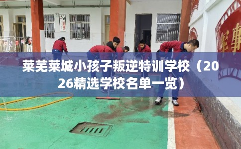 莱芜莱城小孩子叛逆特训学校（2026精选学校名单一览）