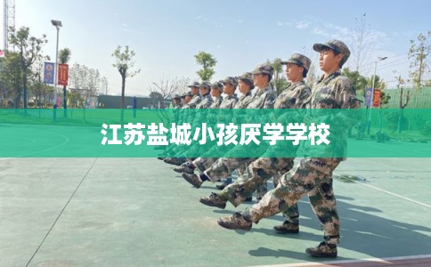 江苏盐城小孩厌学学校