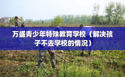 万盛青少年特殊教育学校(解决孩子不去学校的情况) 万盛青少年特殊教育学校(解决孩子不去学校的情况)