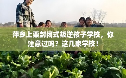 萍乡上栗封闭式叛逆孩子学校,你注意过吗?这几家学校! 萍乡上栗封闭式叛逆孩子学校,你注意过吗?这几家学校!