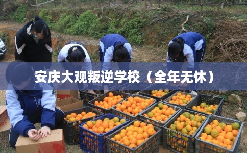 安庆大观叛逆学校（全年无休）