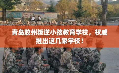 青岛胶州叛逆小孩教育学校，权威推出这几家学校！