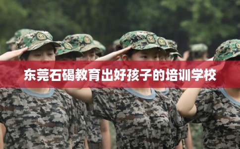 东莞石碣教育出好孩子的培训学校