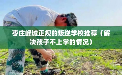 枣庄峄城正规的叛逆学校推荐(解决孩子不上学的情况) 枣庄峄城正规的叛逆学校推荐(解决孩子不上学的情况)