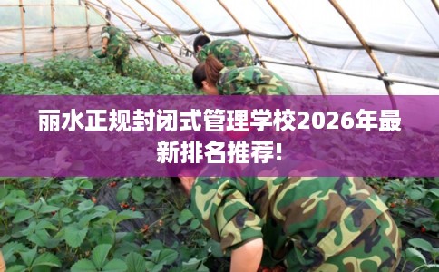 丽水正规封闭式管理学校2026年最新排名推荐!