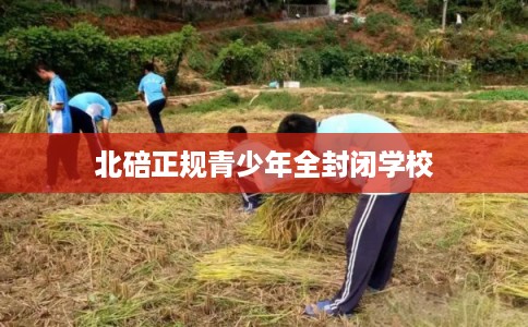 北碚正规青少年全封闭学校 北碚正规青少年全封闭学校