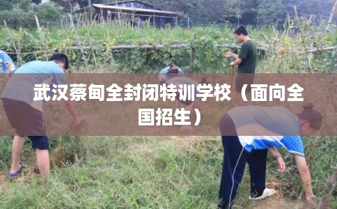 武汉蔡甸全封闭特训学校(面向全国招生) 武汉蔡甸全封闭特训学校(面向全国招生)