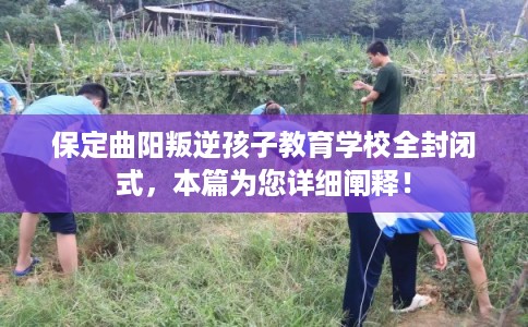 保定曲阳叛逆孩子教育学校全封闭式，本篇为您详细阐释！