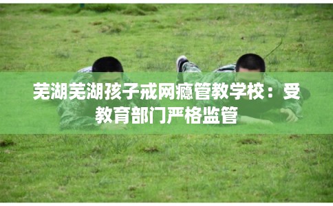 芜湖芜湖孩子戒网瘾管教学校：受教育部门严格监管