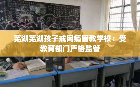 芜湖芜湖孩子戒网瘾管教学校：受教育部门严格监管