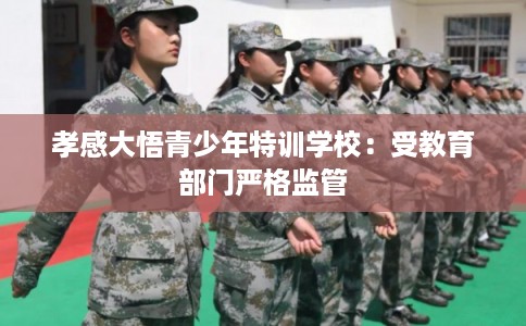 孝感大悟青少年特训学校：受教育部门严格监管