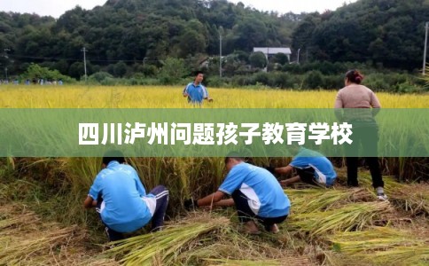 四川泸州问题孩子教育学校