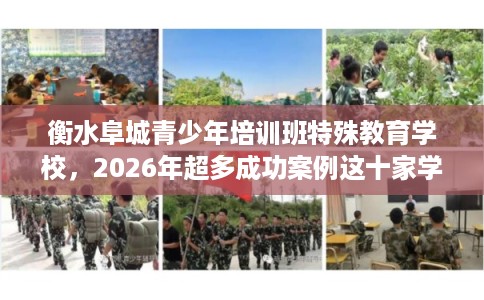 衡水阜城青少年培训班特殊教育学校，2026年超多成功案例这十家学校！