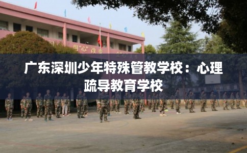 广东深圳少年特殊管教学校：心理疏导教育学校