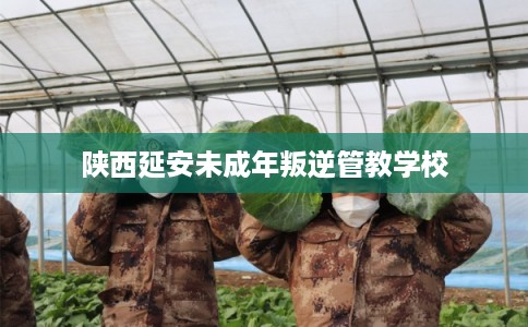 陕西延安未成年叛逆管教学校
