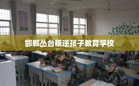 邯郸丛台叛逆孩子教育学校 邯郸丛台叛逆孩子教育学校