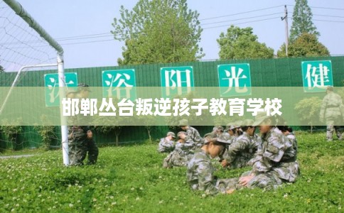邯郸丛台叛逆孩子教育学校 邯郸丛台叛逆孩子教育学校