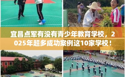 宜昌点军有没有青少年教育学校，2025年超多成功案例这10家学校！