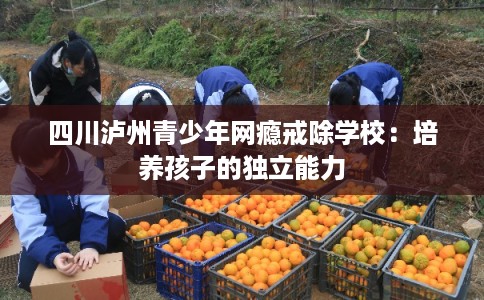 四川泸州青少年网瘾戒除学校：培养孩子的独立能力