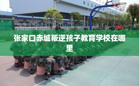 张家口赤城叛逆孩子教育学校在哪里