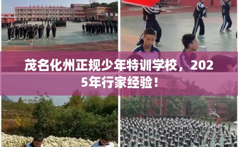 茂名化州正规少年特训学校，2025年行家经验！