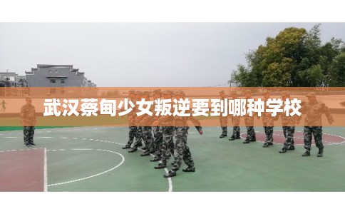 武汉蔡甸少女叛逆要到哪种学校