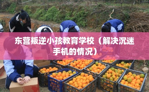 东营叛逆小孩教育学校（解决沉迷手机的情况）
