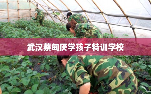 武汉蔡甸厌学孩子特训学校