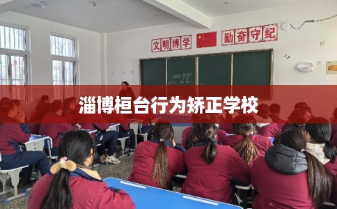 淄博桓台行为矫正学校 淄博桓台行为矫正学校