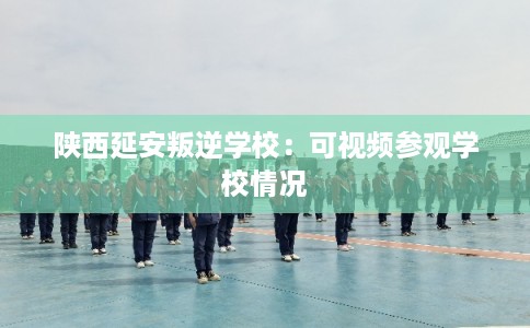 陕西延安叛逆学校：可视频参观学校情况