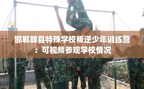 邯郸魏县特殊学校叛逆少年训练营：可视频参观学校情况
